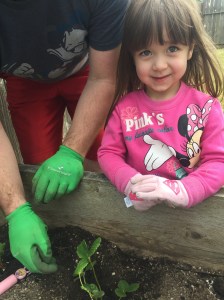 DIY Raised-Bed Garden – Rockin' the Dots