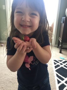 DIY Raised-Bed Garden – Rockin' the Dots